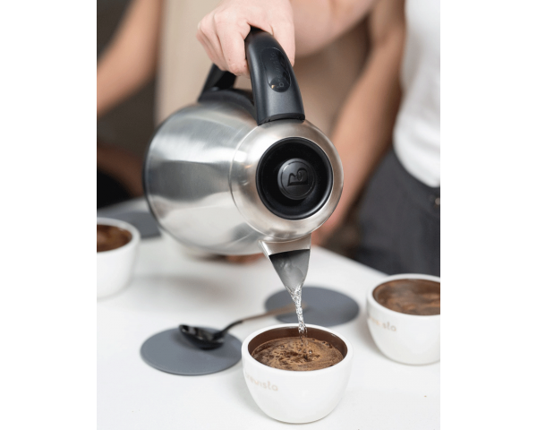 Brewista Artisan 1.7L Variable V-Spout Kettle